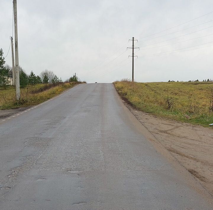 земля городской округ Можайский д Холдеево ул Лесная фото 10