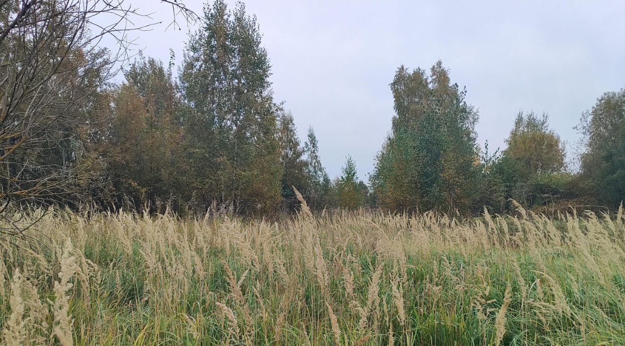 офис городской округ Раменский д Кулаково фото 2