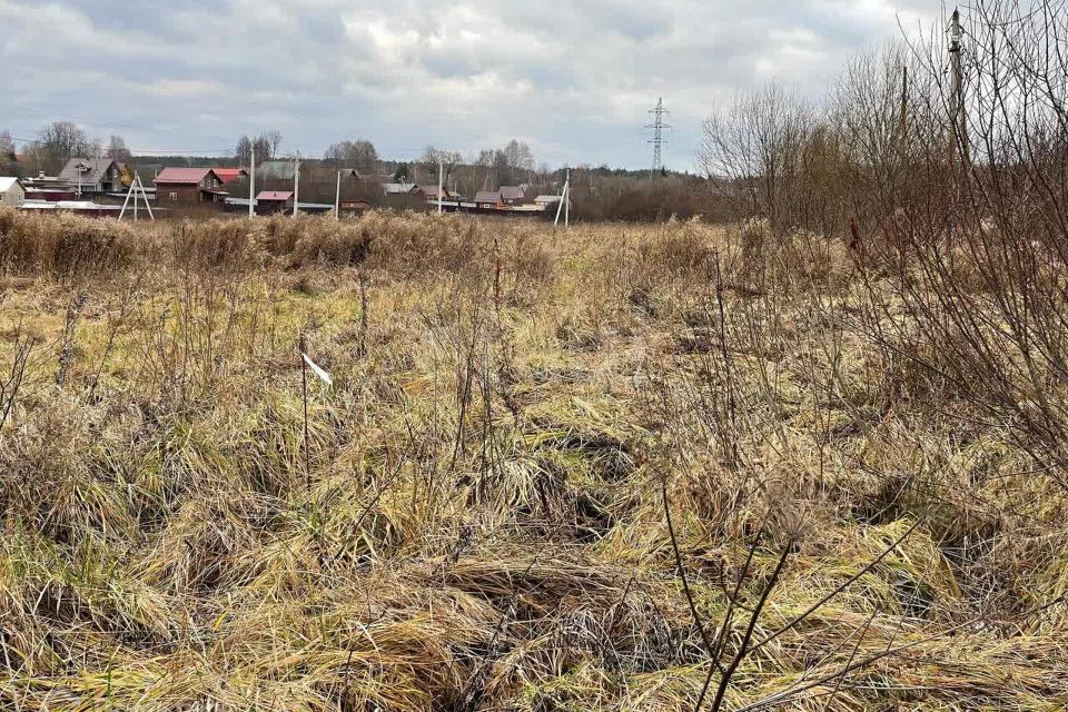 земля городской округ Талдомский с. Новогуслево фото 9