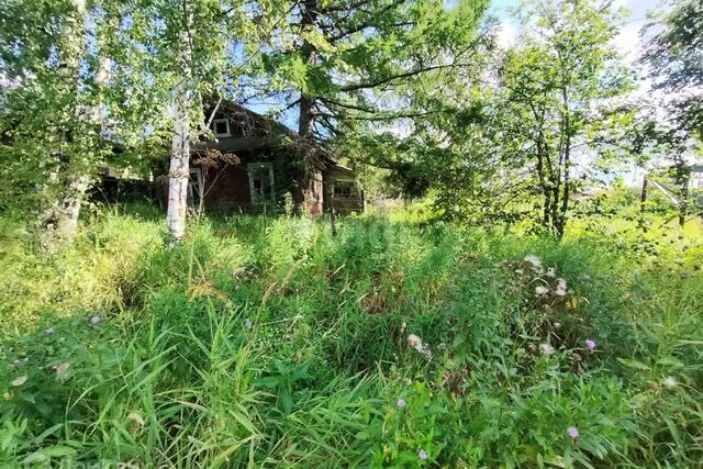 ул Чапаева 46 городской округ Шарья фото