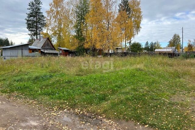 Ухта городской округ, Дальний СНТ Транспортник фото