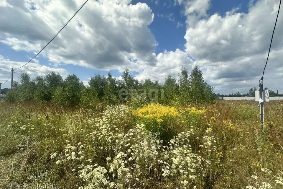 земля р-н Богородский д Выболово ул Васильковая 22 фото 1