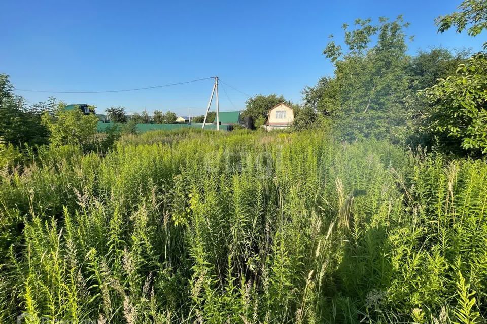 земля р-н Кстовский Чернуха село, 322, СТ Рассвет фото 1