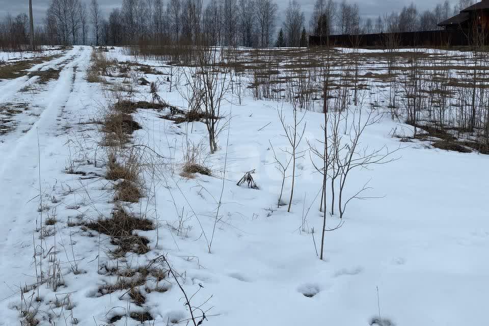 земля г Ухта Ухта городской округ, СНТ Светлое будущее фото 4