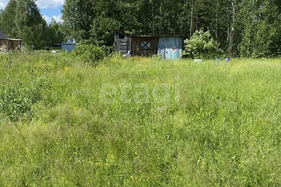 земля Ухта городской округ, Шудаяг фото 3