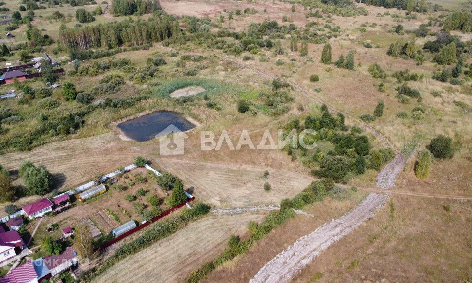 дом р-н Гусь-Хрустальный д Тальново ул Центральная 96 фото 8