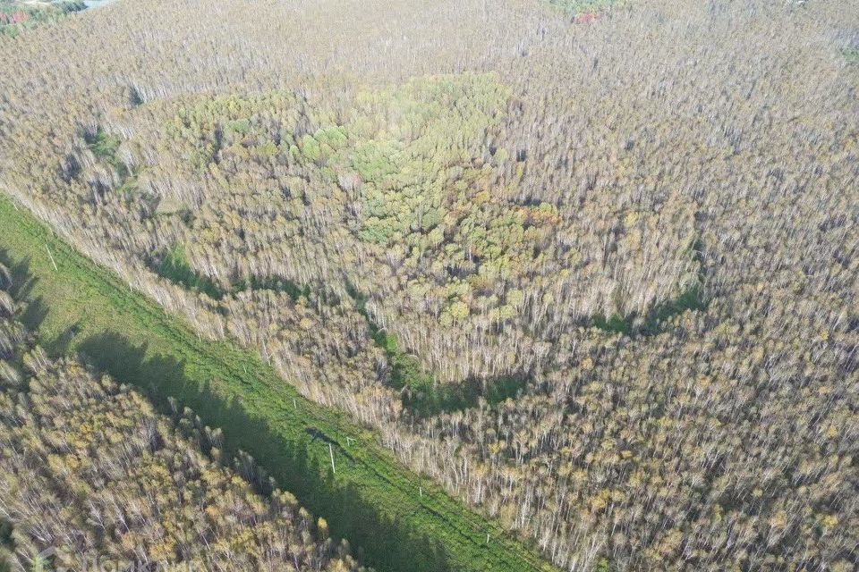 земля р-н Нижнетавдинский снт Сундукуль ул Малиновая фото 7