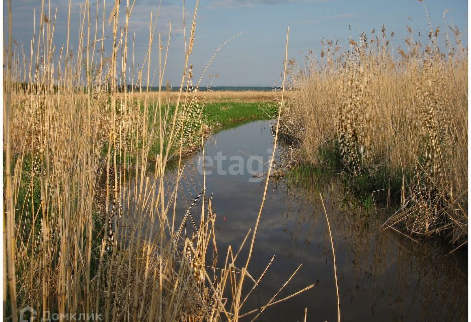 земля р-н Красносельский фото 5