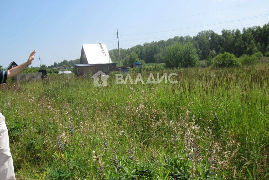 земля городской округ Орехово-Зуевский п Шевлягино Удельная фото 2