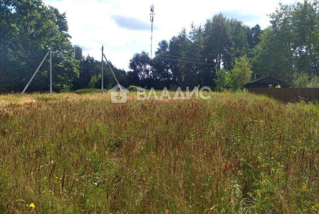 земля городской округ Воскресенск д Медведево Ипподром фото 2