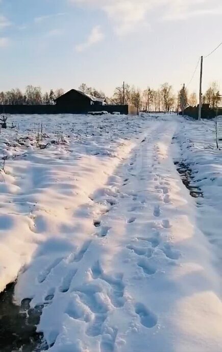 земля р-н Брянский д Меркульево ул Ленина фото 5