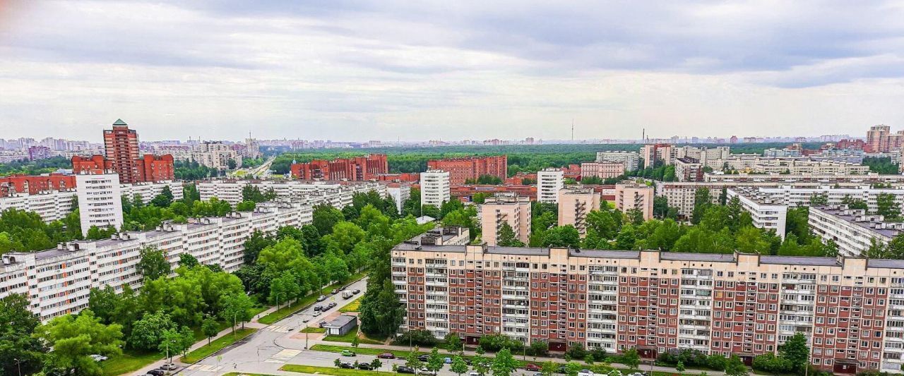 квартира г Санкт-Петербург метро Проспект Просвещения пр-кт Просвещения 43 округ № 15 фото 16