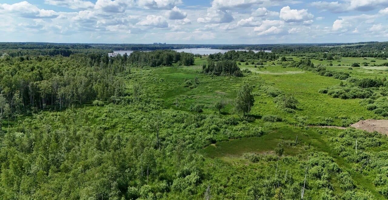 земля городской округ Мытищи д Протасово 24 км, коттеджный пос. Виталенд, Марфино, Дмитровское шоссе фото 12