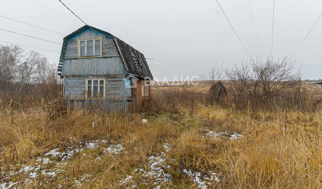 дом 25, Владимир, сад Раздолье фото 15