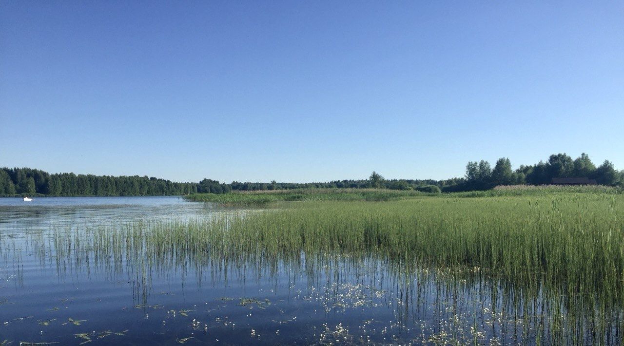 земля городской округ Шаховская д Сутоки КП Рузский Мыс фото 5