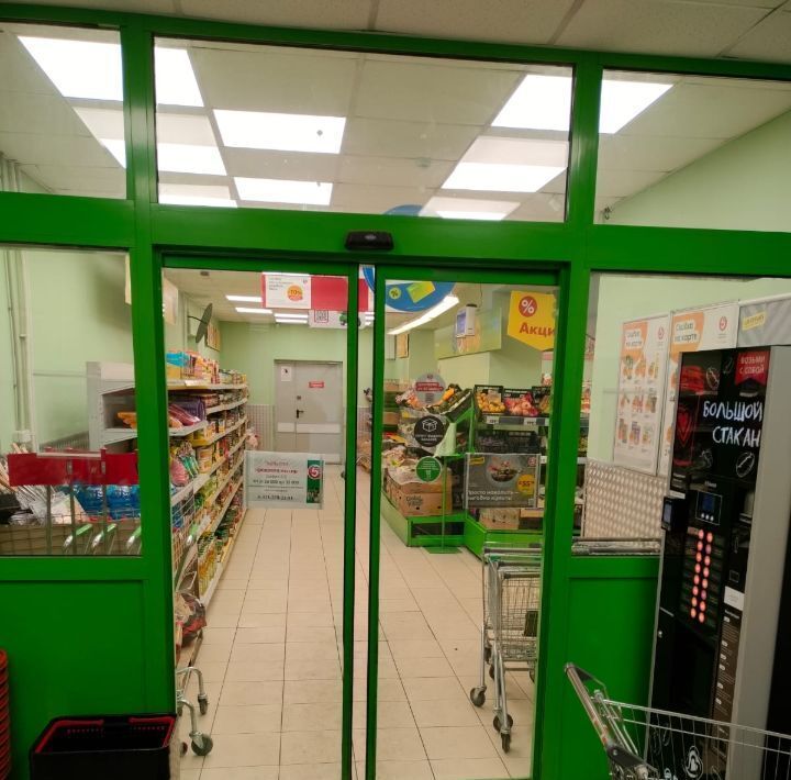 торговое помещение г Великие Луки пр-кт Гагарина 48в фото 2