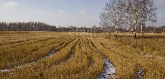 Подольск фото