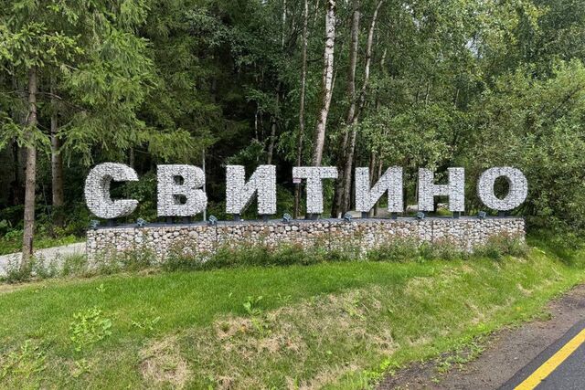 д. Свитино фото