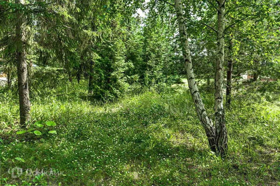 земля городской округ Одинцовский д Подушкино товарищество собственников жилья Подушкино фото 1