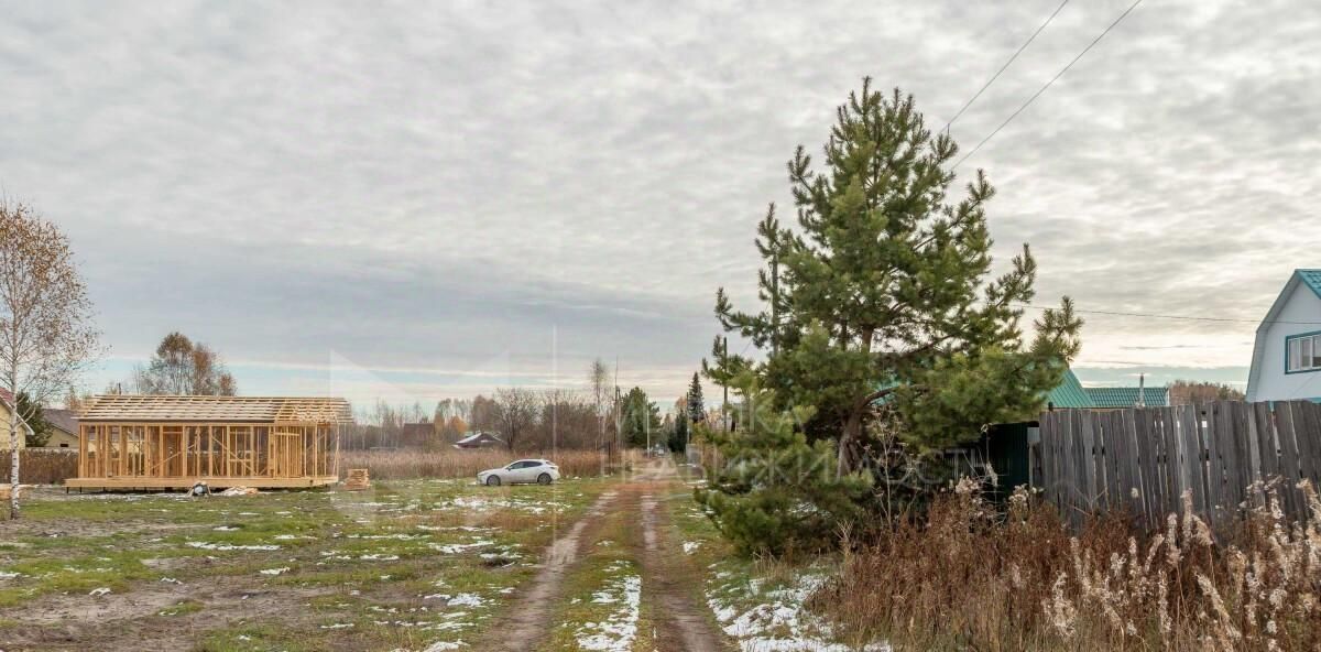 земля р-н Нижнетавдинский снт Геолог-2 фото 4