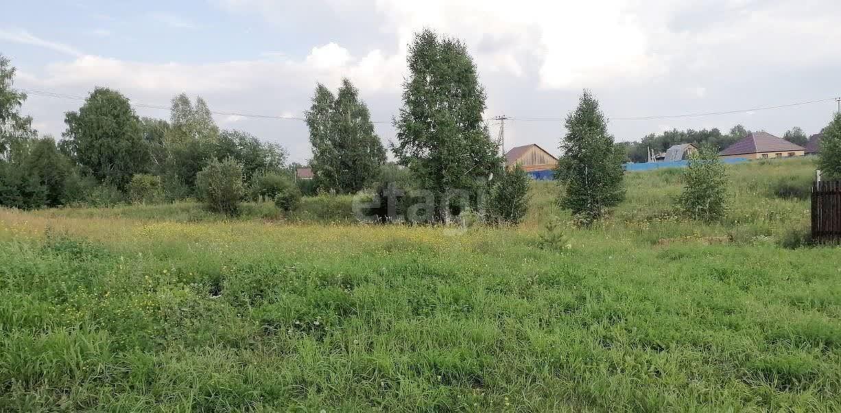 земля г Кемерово ул Совхозная 15 Берёзовское территориальное управление, Берёзово фото 10