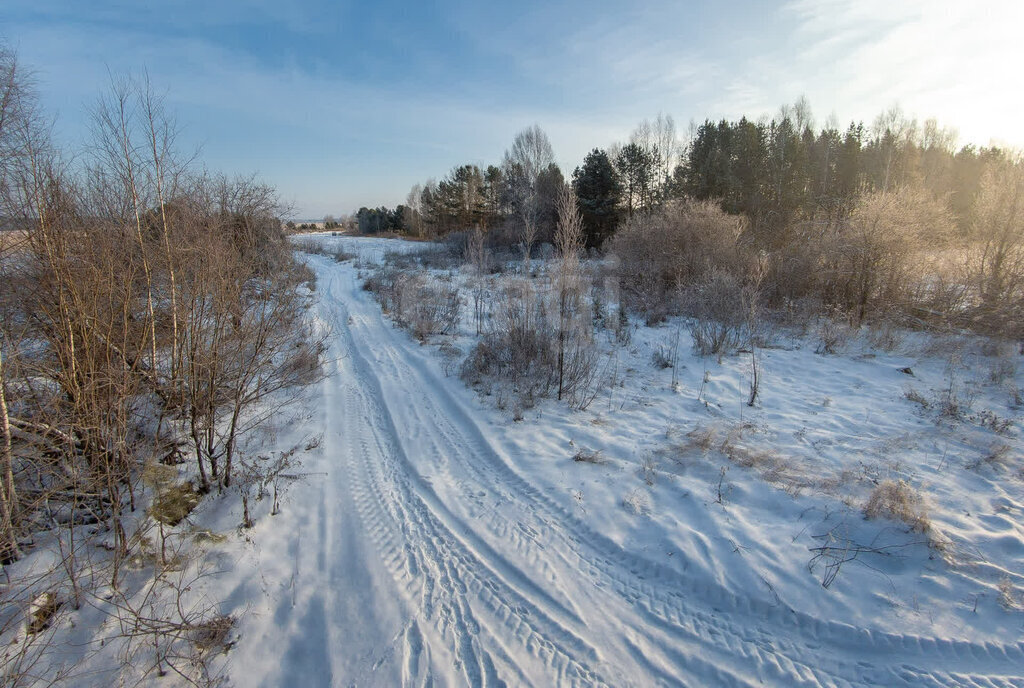 земля г Тюмень снт Дорожник Центральный административный округ фото 11