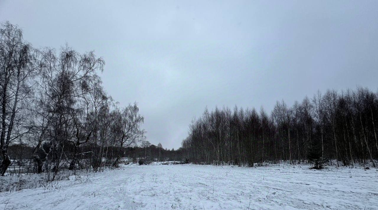 земля городской округ Наро-Фоминский д Семидворье фото 5