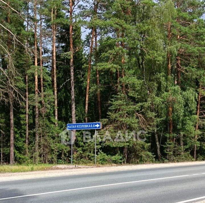 дом р-н Судогодский д Малая Козловка Лавровское муниципальное образование фото 5