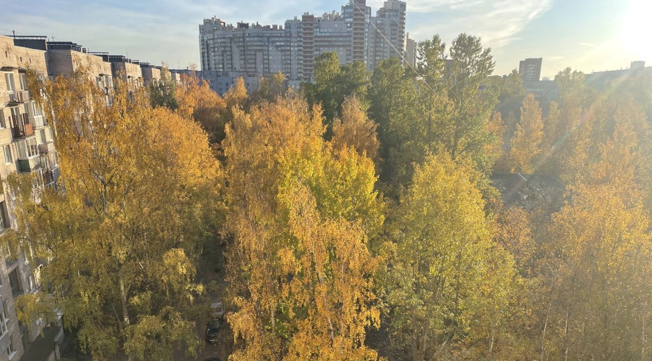 квартира г Санкт-Петербург метро Гражданский Проспект ул Руставели 58к/1 фото 3