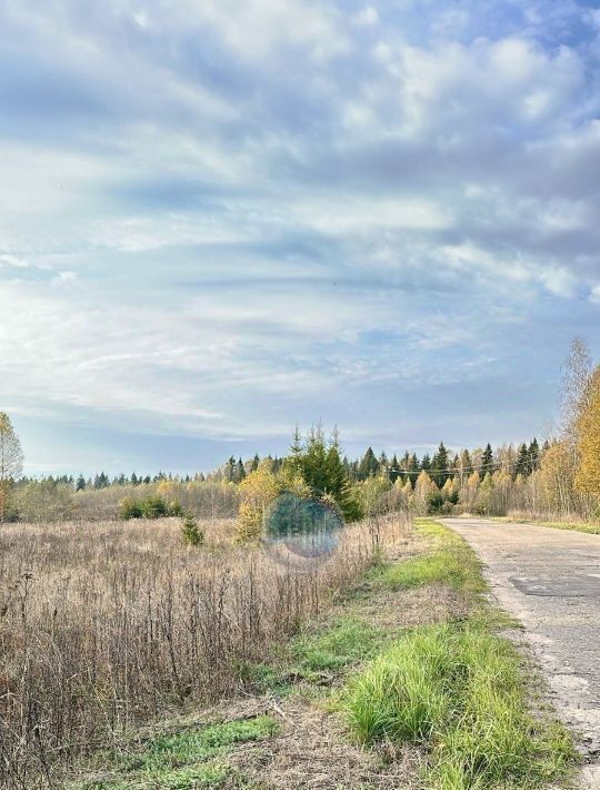 офис городской округ Можайский д Пеньгово 13 фото 10