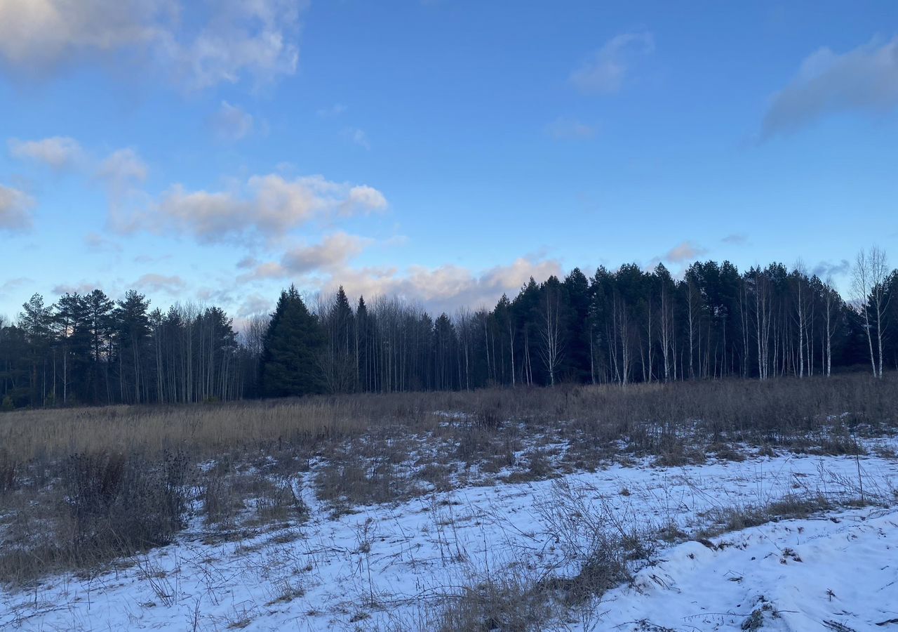 земля г Ижевск р-н Ленинский ул Горнолыжная Берёзово фото 1