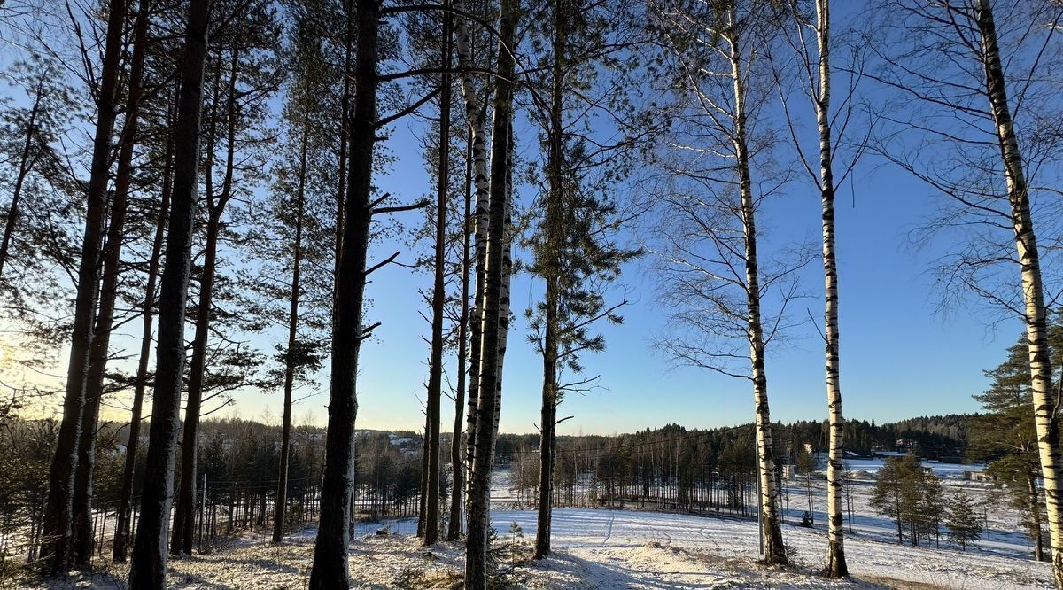 земля р-н Всеволожский д Мистолово Бугровское городское поселение, Земельные участки в Мистолово кп, Парнас фото 1