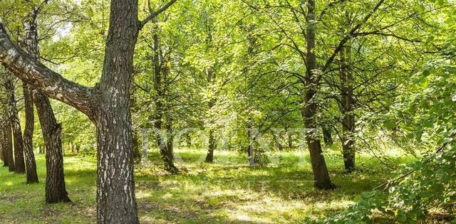 Ренессанс Парк кп, Нахабино фото