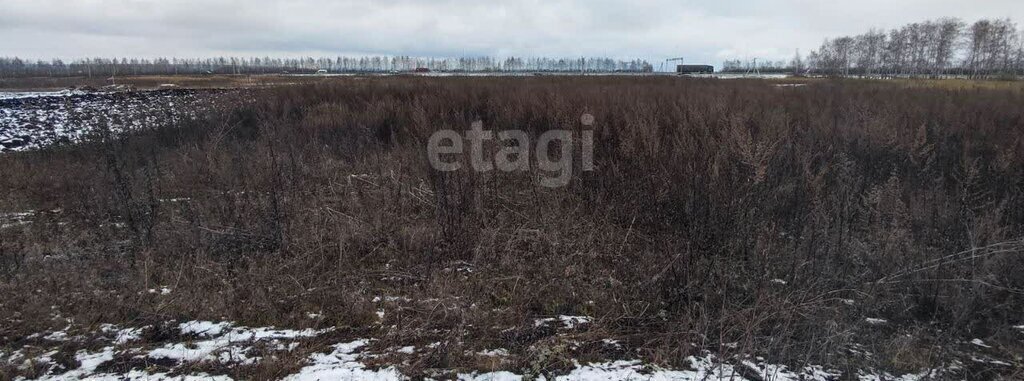 земля г Ульяновск р-н Засвияжский ш Московское фото 3