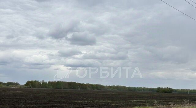 земля муниципальное образование, Соловьиная роща кп, Тюменский район фото