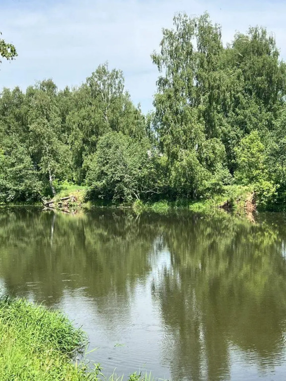 гостиницу городской округ Пушкинский п Черкизово Тарасовка фото 10