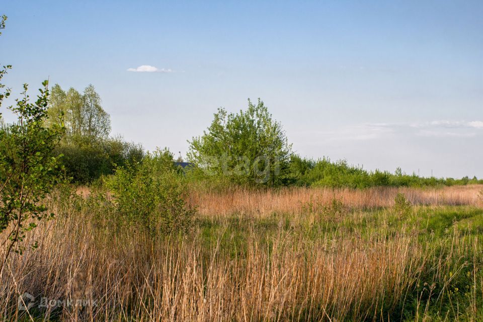 земля р-н Гурьевский посёлок Низовье фото 8