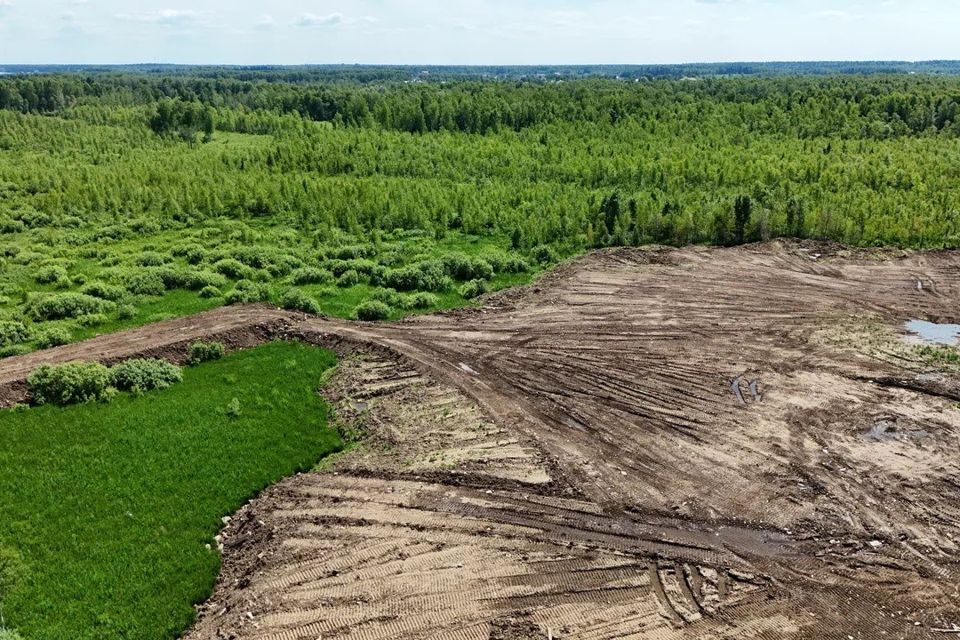 земля городской округ Мытищи д Протасово Коттеджный посёлок Вита Ленд фото 2