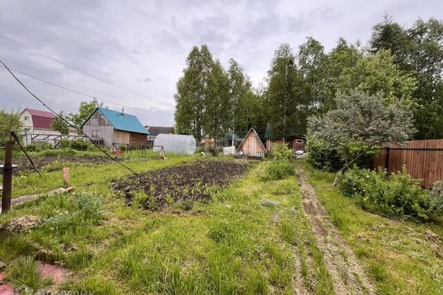 Эжва Сыктывкар городской округ, СНТ Ягодка фото