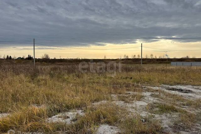 тракт Тобольский Тюменский район фото