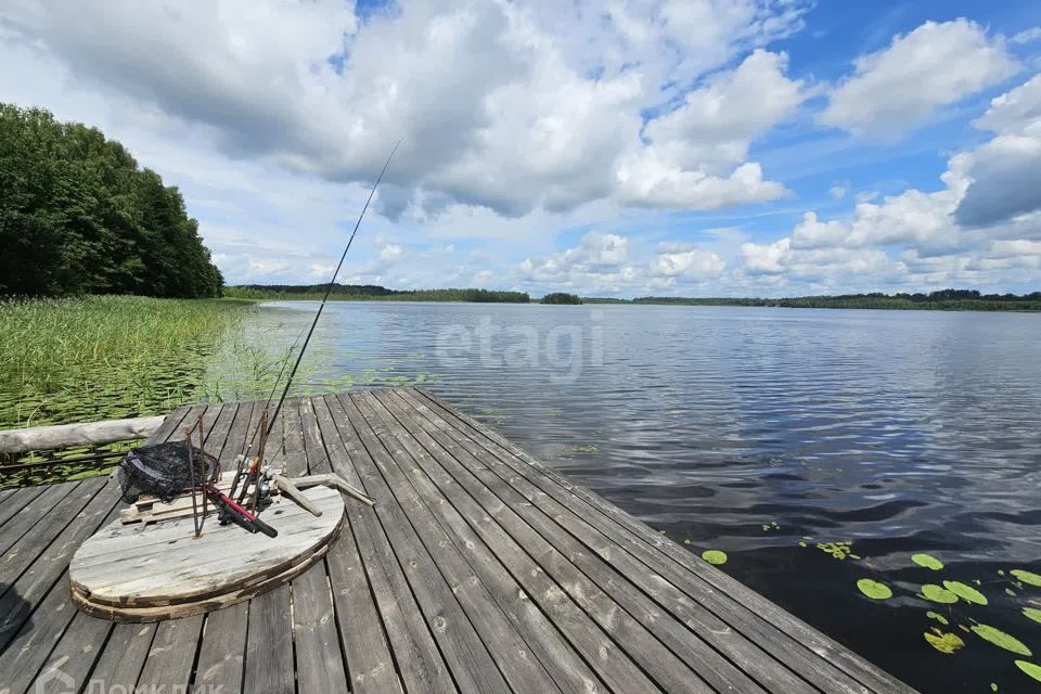 земля р-н Себежский Зуево фото 1