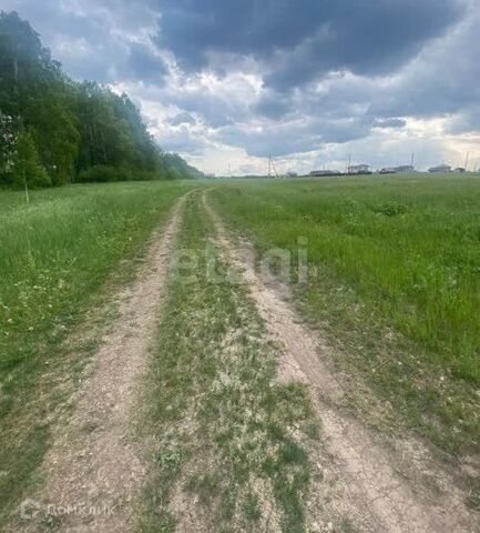 Полевской городской округ, Курганово фото