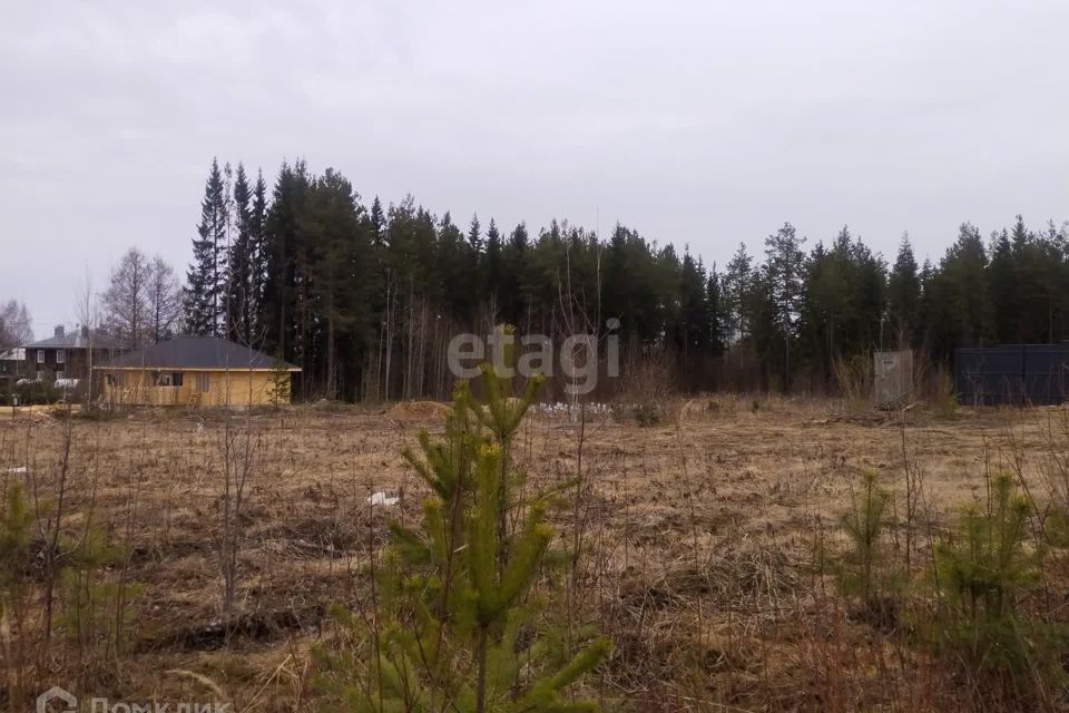 земля Сыктывкар городской округ, Краснозатонский фото 4