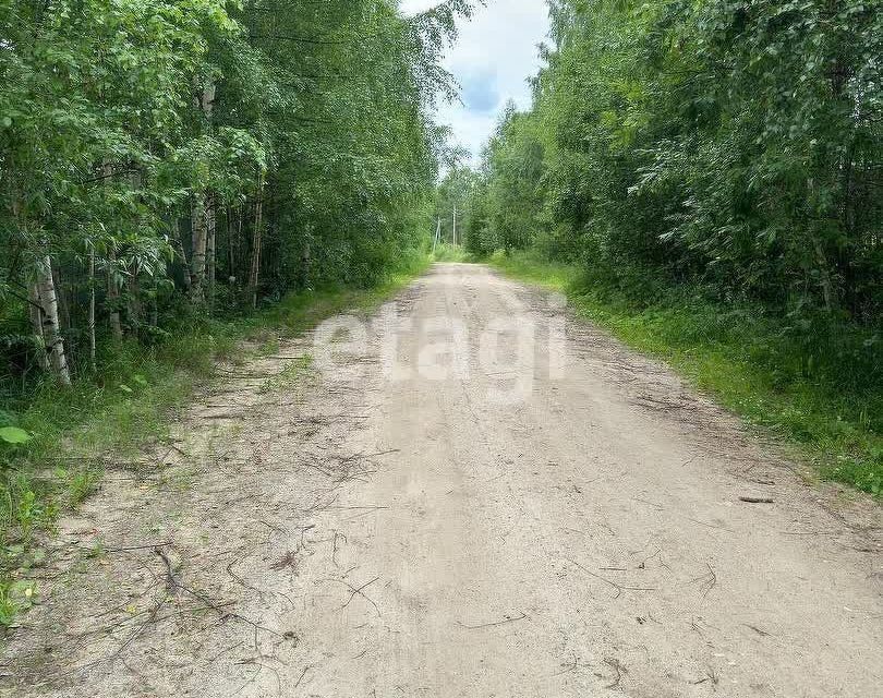 земля р-н Корткеросский фото 2