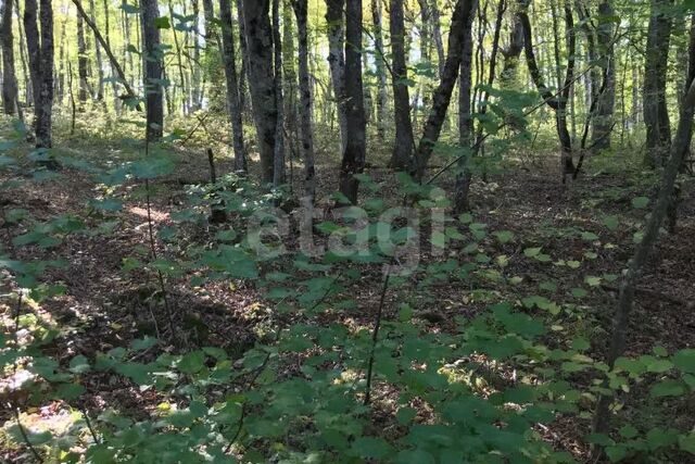 Горячий Ключ городской округ, Пятигорская фото