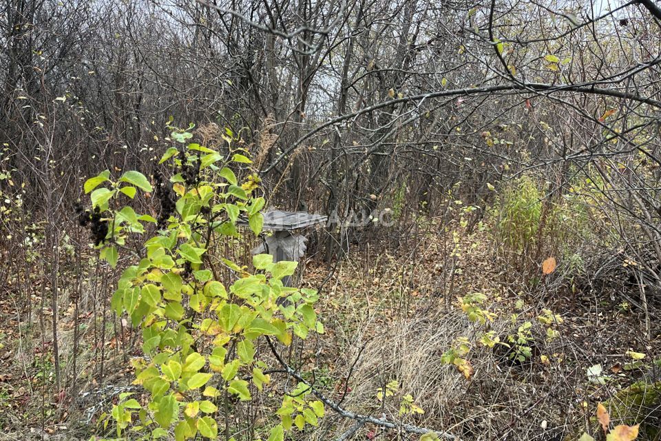 земля г Пенза городской округ Пенза, Каланча фото 10