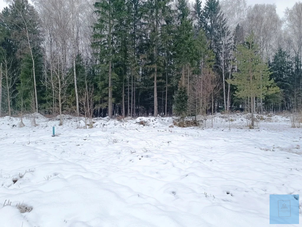 земля городской округ Солнечногорск д Повадино р-н кв-л Повадино-7 Пятницкое фото 5