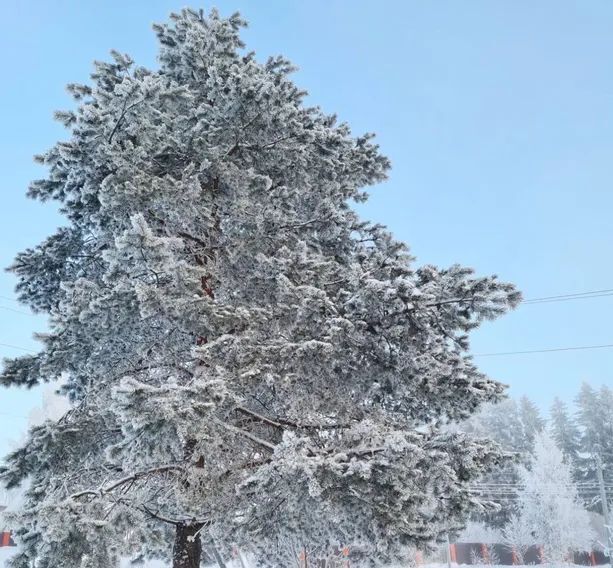 комната р-н Приозерский п Мичуринское ул Озерная 5 фото 35