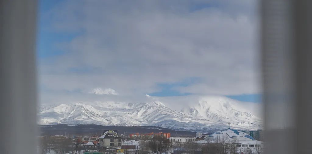 квартира г Петропавловск-Камчатский ул Топоркова 6/5 фото 20