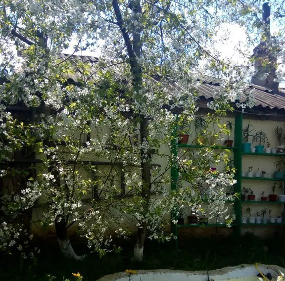 комната г Феодосия проезд 3-й Профсоюзный 20 фото 31